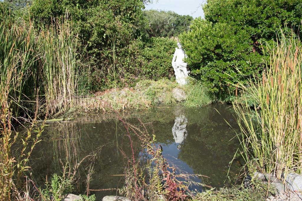 Quinta Do Cano Évora Zewnętrze zdjęcie